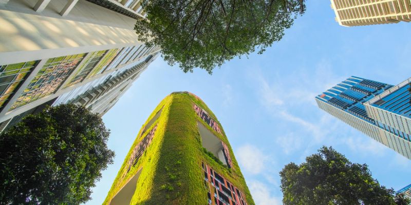 Jardines Verticales en Arquitectura