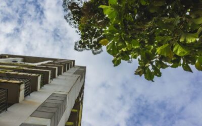 5 formas de hacer tu casa más sostenible