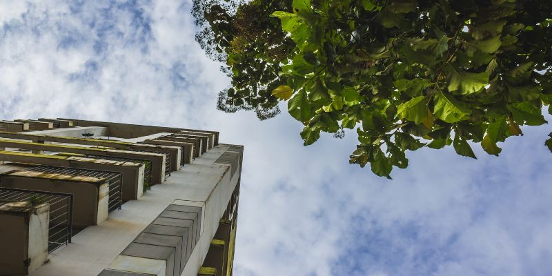 5 formas de hacer tu casa más sostenible