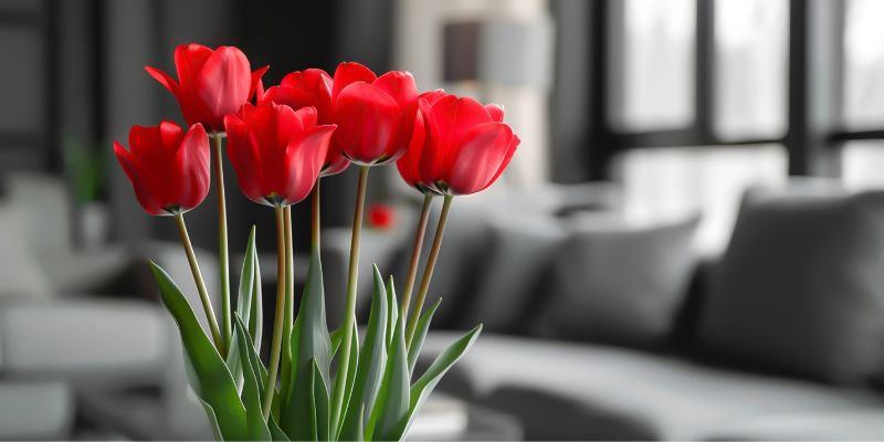 san-valentin-flores san-valentin-flores